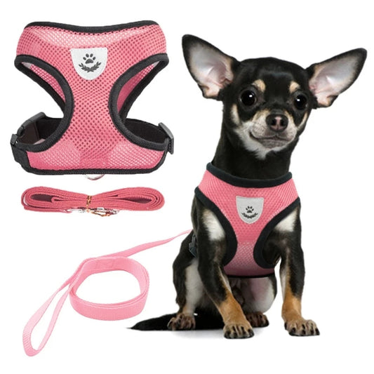 Pet Harness, Dog Harness , Adjustable Vest Walking Lead Leash, seat belt harness for dog, dog seat belt harness, puppy harness ,harness dogs, Pet Harness And Leash Set, Pet Mat, Pet Supplies, Pets Clothes